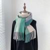 Зима 2024 года, новый радужно-сетчатый темпераментный простой имитационный кашемировый шарф, универсальная шаль, теплый и толстый шарф с кисточками для мужчин и женщин