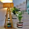 Lampshade Not Included Stylish Wooden Floor Lamp with 3 Tier Shelf for Home Decor || Bedroom ||  Living Room