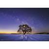 300 Piece Jigsaw Puzzle KAGAYA Elm Tree and Milky Way (Hokkaido) [Glowing Puzzle] (26x38cm)