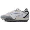 Blktop Rider Pop Comfortable Versatile Durable Low-Top Lifestyle Casual Shoes Unisex Sneaker Light-Gray 393866-06