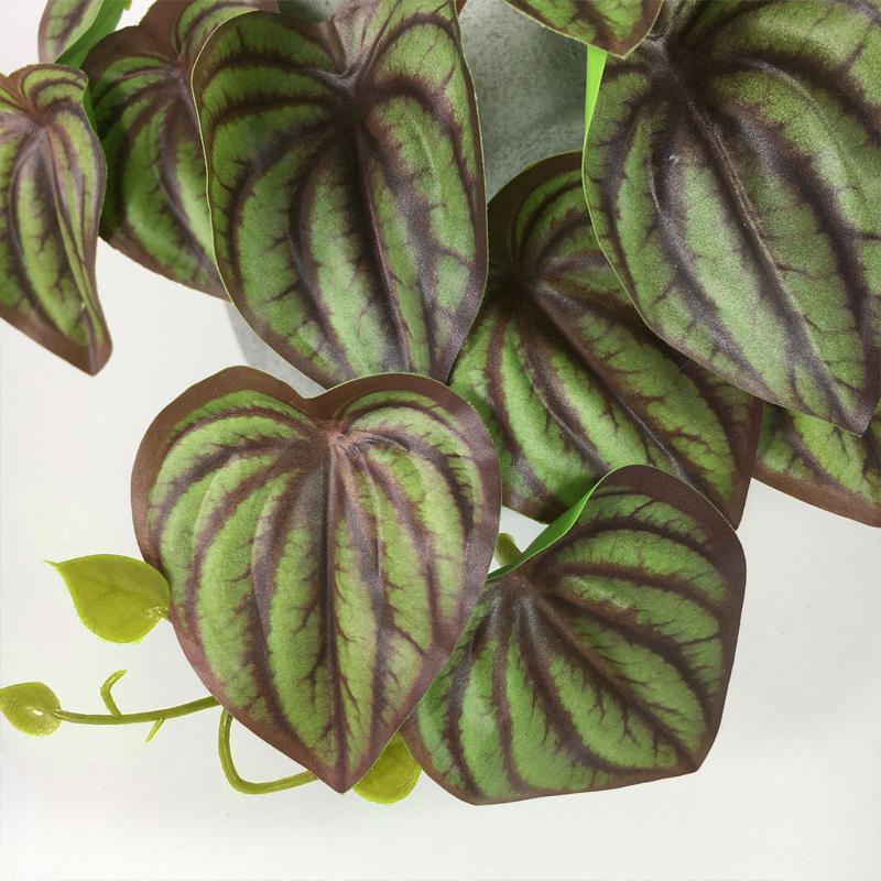 26см Бегония Лист Павлиньего Черепаха Спина Дом Балкон Настенный Подвесной Садовый Декор Искусственные Растения Лиана Зеленая Трава В Горшке
