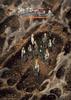 Beverly 600 Piece Jigsaw Puzzle Attack on Titan The Final Season Final Edition Dither Visual x (38 53см) 66-227