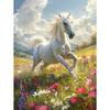 5d DIY Алмазная картина, вышивка крестом, белая лошадь, рукоделие, алмазная вышивка, мозаика с животными, полный круглый дрель, домашний декор