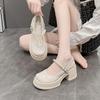 French Casual Leather Shoes Women's Autumn 2025 New Muffin Platform Mary Jane Single Shoes with Skirt Xiaoxiangfeng