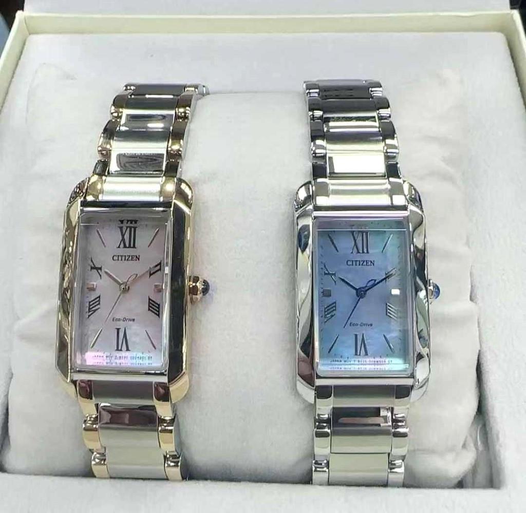 Citizen Eco-Drive Sapphire Stainless Steel Women’s Watch EW5620-55N