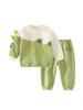 Trendy Boys' Autumn Cotton Sweatshirt Two-Piece Set
