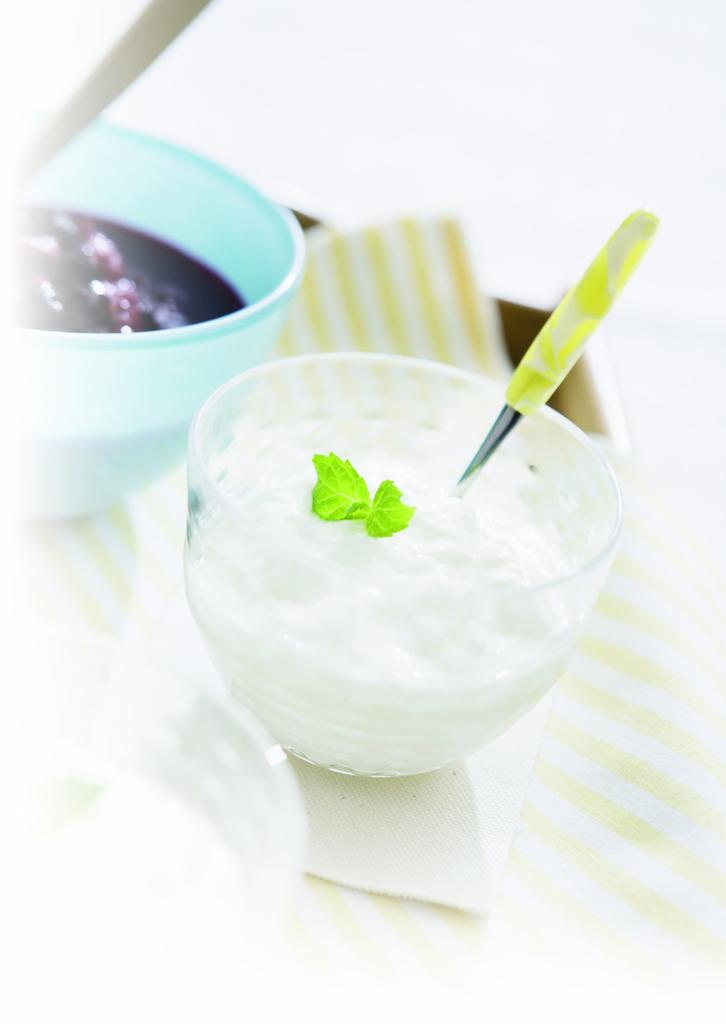 Wahei Freys Soleard Yogurt Maker SO-161