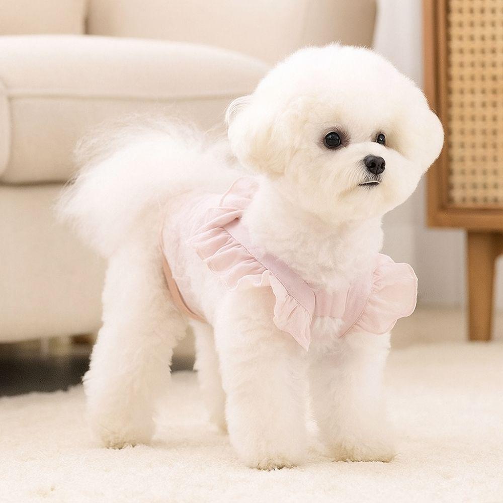 Breathable Dog Physiology Pants Thin Pet Jumpsuit Fashion Pet Dog Diapers  for Dogs Puppy