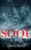 Книга Soot : The Times's Historical Fiction Book of the Month