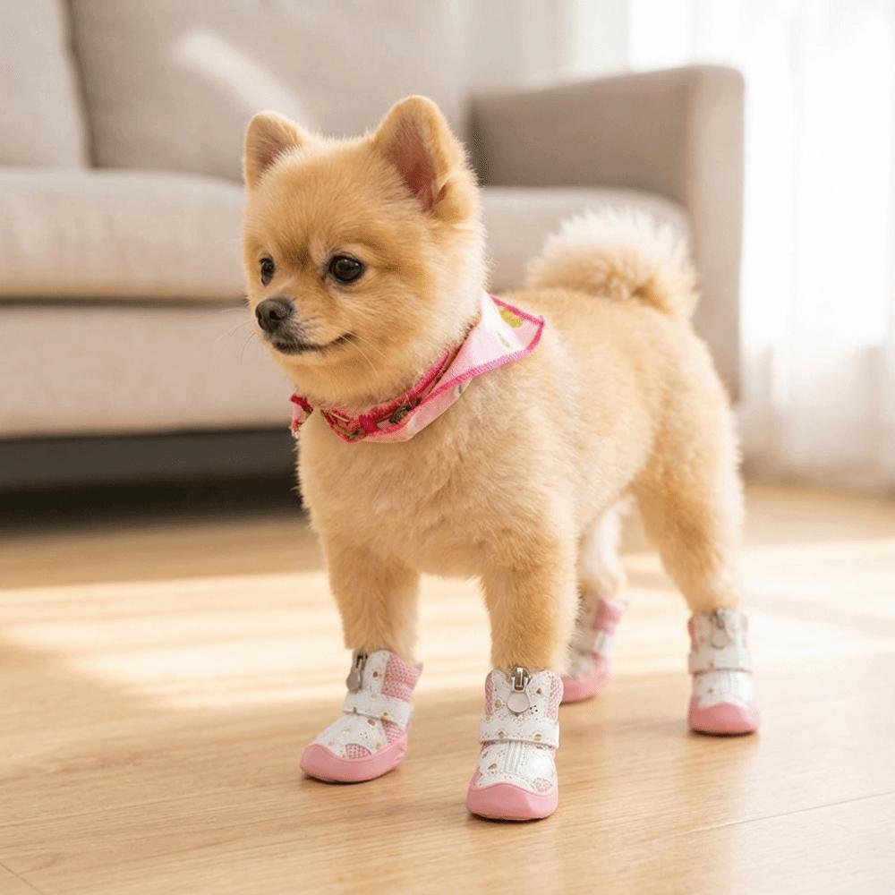4Pcs Anti-Slip Sole Mesh Dog Shoes Golden Mesh Anti-Slip Dog Booties  Outdoor Walking