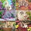 5D DIY Diamond Painting Kit Flower Cat Art Diamond Embroidery Rhinestones Decorations for Home