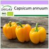 Organic - Sweet Pepper - Golden California Wonder - 20 Seeds - Capsicum Annuum