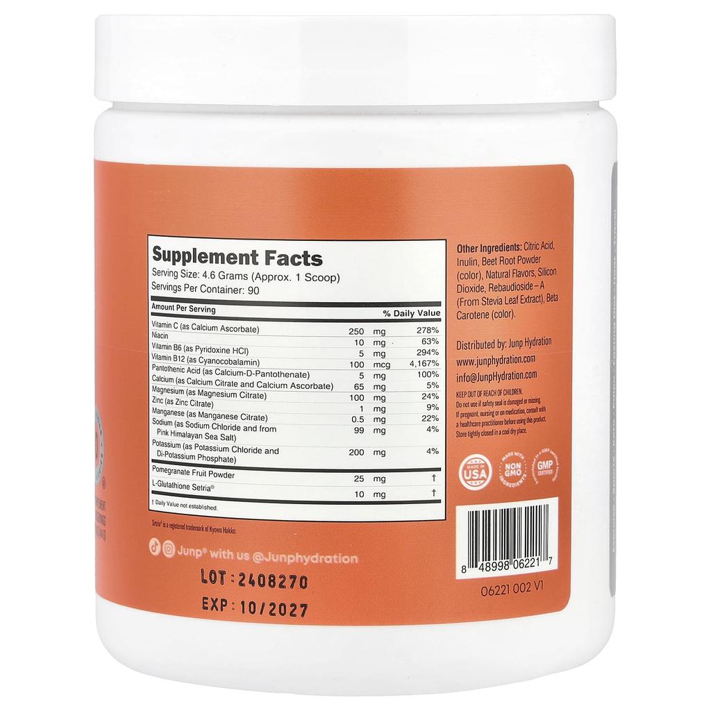 Electrolyte Powder Mix, Peach, 414G(14.6Oz)
