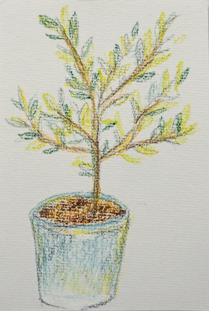 Мелок восковой Turner Color Rice Crayon RR75016C