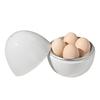 Egg Poacher - Microwave Egg Cooker, Egg Boiler, Egg Poacher | Microwave Egg Cooker, Egg Boiler, Egg Poacher Multifunctional Egg Steamer, Oval-Shaped Q