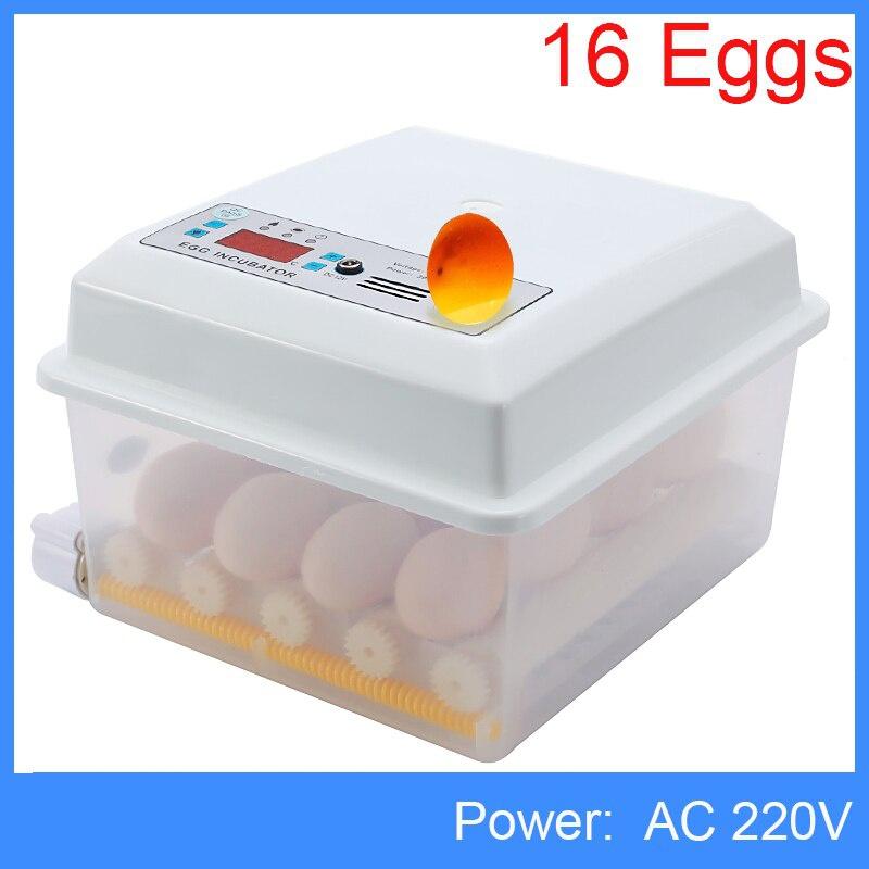 110V/220V Eggs Incubator Brooder Bird Quail Incubator Chick Hatchery Incubator Poultry Hatcher Turner Automatic Farm Incubation Tools