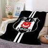 Football Club Emblem Stripe Print Flannel Throw Blanket, Sports Fan Soft Warm Blanket for Sofa Bed Couch Home Use