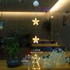 Fairy String Lights Star Lamp Curtain Garland Hanging Lamp  Holiday Wedding Party