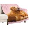 Cute Smiling Golden Retriever Throw Blanket Fluffy Blankets Large For Sofa Blankets and Blankets Sofa Throw Blanket