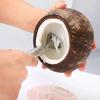 Coconut Meat Scraper Stainless Steel Coconut Planer Coconut Meat Planer Edible Coconut Meat Products Fish Scale Planer Kitchen Utensils