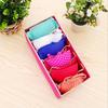 Foldable Underwear & Socks Storage Box with Dividers - Wardrobe Organizer for Bras and Panties.