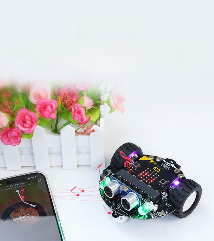 Microbit AI Vision Smart Car Kit: Graphical Programming & WiFi Video Education In Python