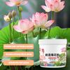 200g Bowl Lotus Explosions Water Special Nutrient Solution Promotes Flowering Fertilizer Hydroponic Fertilizer For Water Lily