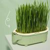 Elephant Cat Grass Cup Hydroponic Cat Grass Box Soilless Planting Easy To Grow Easy Operate Cat Grass Pot Set Pet Supplies