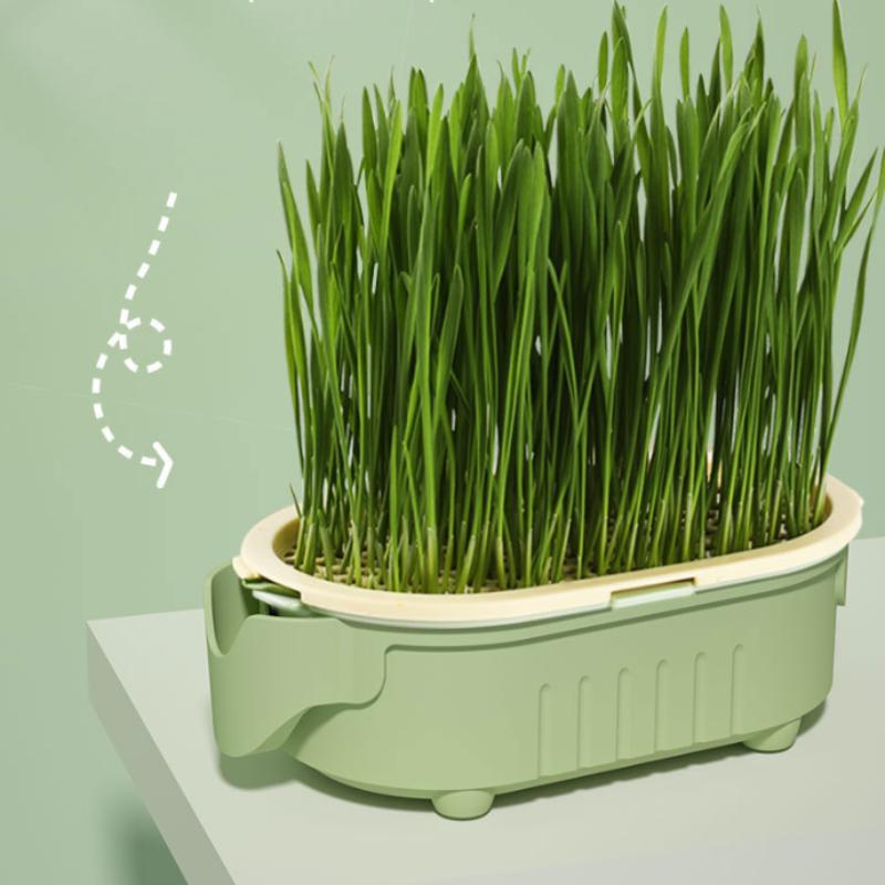 Elephant Cat Grass Cup Hydroponic Cat Grass Box Soilless Planting Easy To Grow Easy Operate Cat Grass Pot Set Pet Supplies