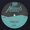 7-дюймовая пластинка AUDREY HALL Eight Little Notes Notes In Dub PLA09 Planets UK 2025 UK Reggae Ska Dub