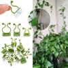 10 шт. невидимый держатель для растений, кронштейн для теплицы, настенный липкий крючок, зажим для растений, настенный зажим для лозы из ротанга