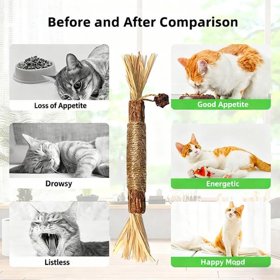 Cat Chew Toy Natural Silver Vine Dental Stick Cats Teeth Cleaning Self-play Toy Safe Catnip Chew Stick for Indoor Cats Playing Promotes Dental Health