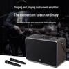 HuiDu NB-500L Professional Portable Live Performance & Recording Speaker with Dual Mics