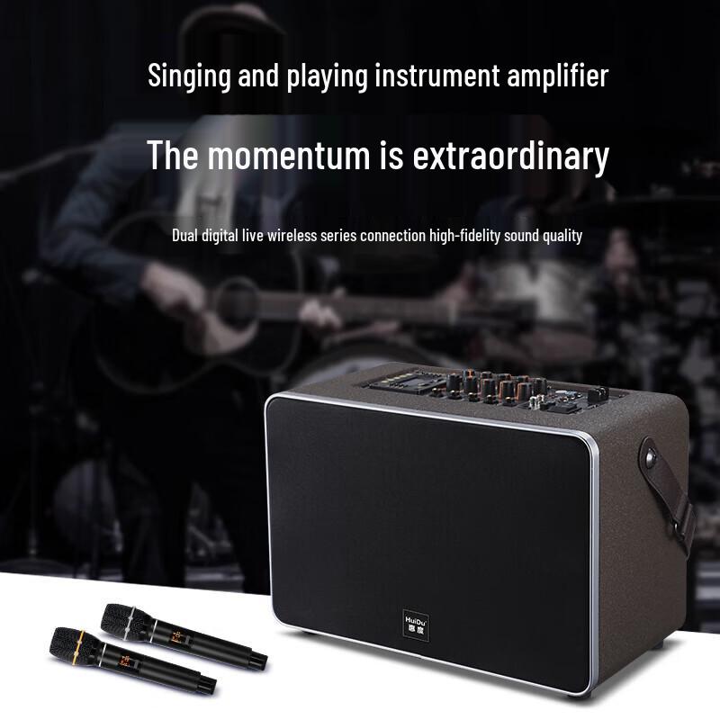 HuiDu NB-500L Professional Portable Live Performance & Recording Speaker with Dual Mics