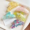 Acrylic Acetic Acid Hair Claw Elegant Women Hair Accessories Fashion Gradient Shark Clip  Gifts