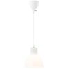 Bon Furniture Stylish Glass Pendant Light, LED Ceiling Light, Single Light, E26, Adjustable Length, Duct Rail Compatible, Simple, Nordic Style,