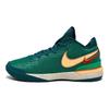 Nike Мужские кроссовки Zoom LeBron NXXT Gen EP Geode Teal Melon-Tint Stadium-Green Campfire-Orange DR8788-301
