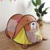 Kids' Indoor Foldable Play Tent with Ball Pool