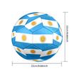 Argentinean Flag Design  Soccer Ball Size 5 Football Machine Sewn Outdoor Universal Football Unique Gift for Soccer Lovers