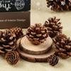 18 PCS Natural C, 2-2.36 Inch Christmas Rustic Pinecones Fall Garland Halloween Thanksgiving Decorations, Christmas Tree Fall Ornaments