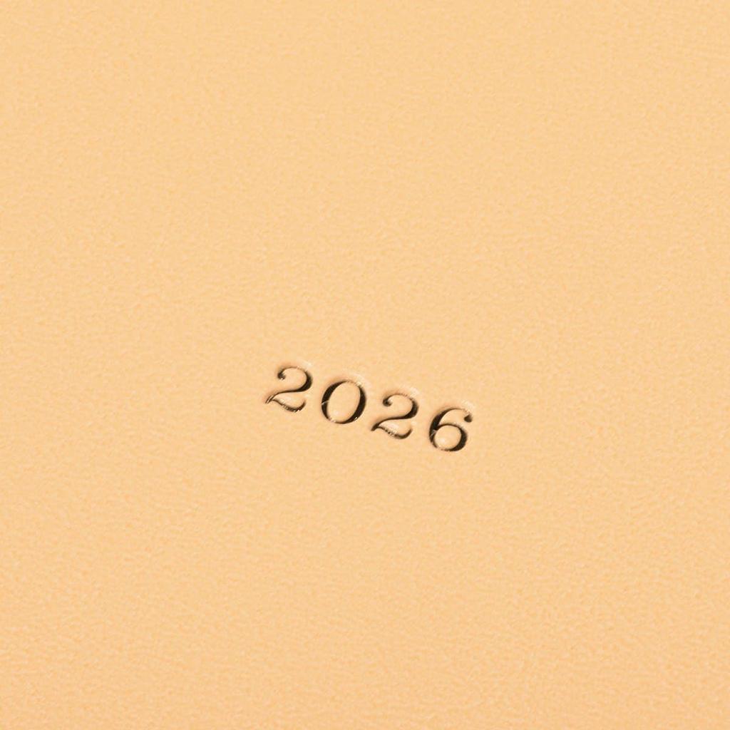Планер на 2026 год, Январь 2026, 1 страница в день, Размер B6, Цвет-нюанс, Шампанское золото, EDiT, 26WDR-ETA02-CG