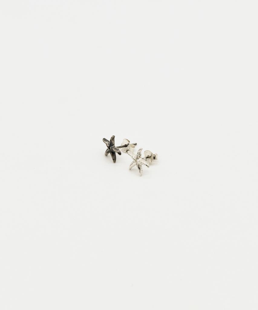 Морская звезда Hakkablacks #01Er