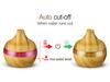 Creative USB 300ml Desktop Humidifier & Air Purifier for Home or Office