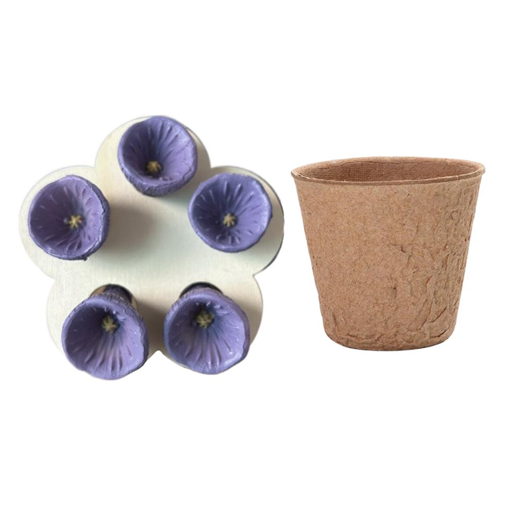 Пчелы Насекомое Чашка для питья Пчелиная поилка Чашка Смола Форма пяти цветков Пчелиный опылитель Кормушка для воды с чашкой для расплода и держателем