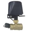 Tuya Smart Water Valve Controller with Copper Valve - WiFi & Zigbee Compatible