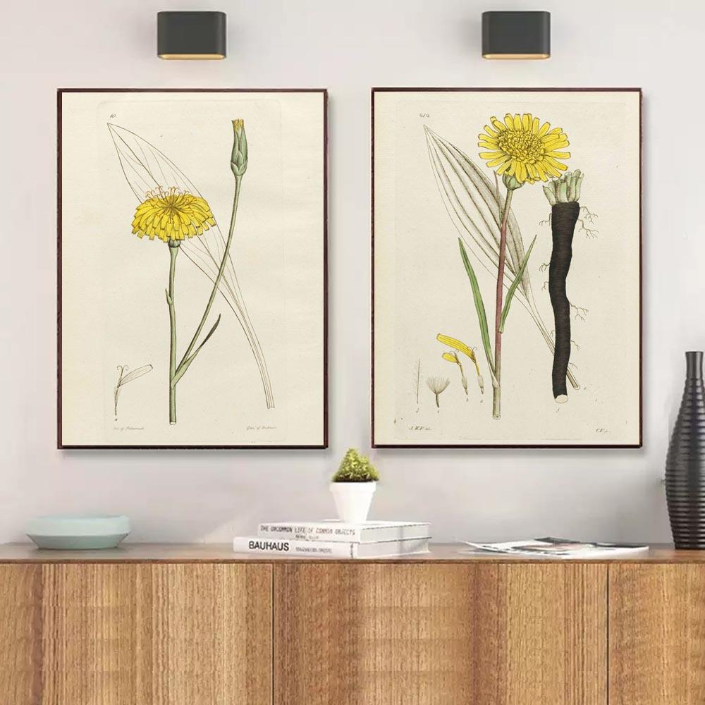 Скандинавское ретро-искусство картина на холсте с изображением растений эволюция цветов Популярная наука Плакат гостиная коридор украшение дома фреска без рамки