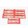10sets Dental Material Plastic Teeth Teaching Model Dedicated Teeth Dental Material Useful Teeth Care Tool A2 Type Tooth Model