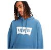 Levi's® T2 Relaxed Graphic Hoodie