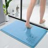 Cross-Border Chenille Quick-Dry Absorbent Bathroom Mat