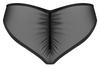 Obsessive - Sexy Semi-Sheer Donarella Panties Black XL/2XL